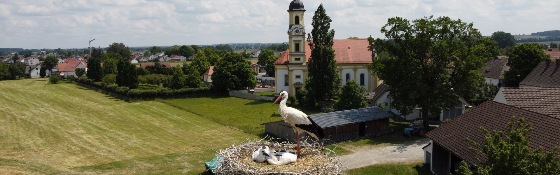 Storch Karlskron