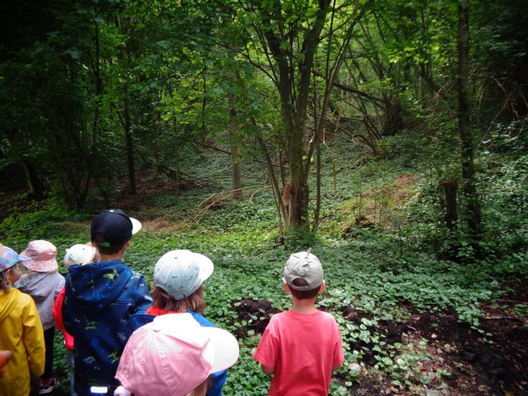 Waldtage 2024-2